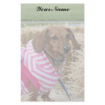 Dachshund stationary custom stationery
