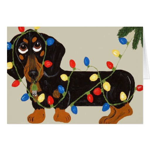 dachshund tangled in christmas lights