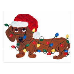 Dachshund Tangled In Christmas Lights (Red) Postcard