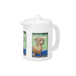 Dachshund Teapot