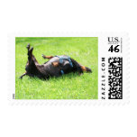 Dachshund - TGIF Postage