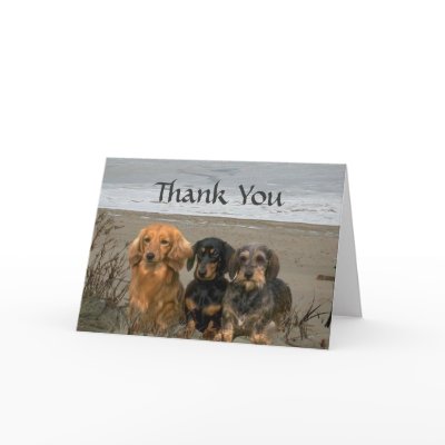 thank you dachshund 