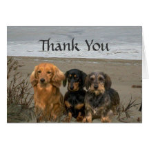 Dachshund Thank You Card Beach