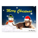 Dachshund & the Frozen Snowman Poster posters