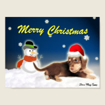 Dachshund & the Frozen Snowman Poster posters