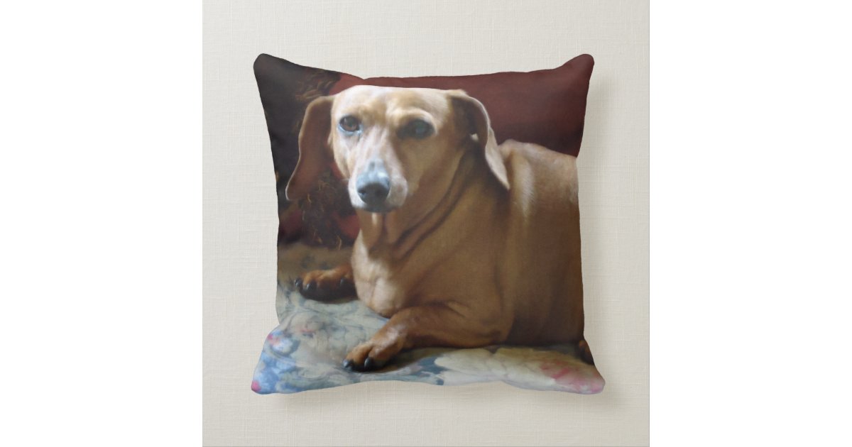 dachshund throw pillow