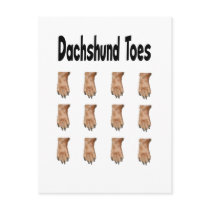 Dachshund Toes Postcard
