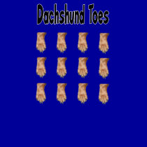 Dachshund Toes t-shirts
