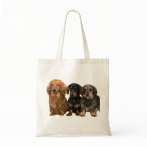 Dachshund Trio Tote Bag