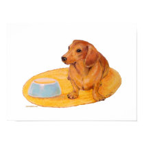 Dachshund waits for Dinner posters