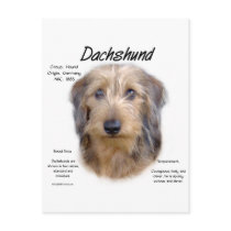 Dachshund (wirehair) History Design postcards