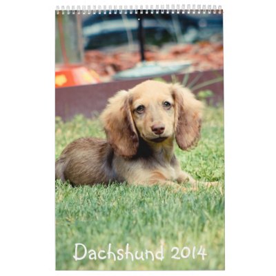 Dachshunds 2014 calendarios Dachshunds 2014 calendarios