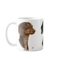 Dachshunds Aliana Arabella Albruna mugs