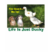 Dachshunds and Ducks T-Shirt