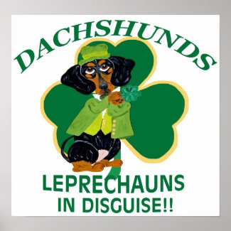Dachshunds Are Leprechauns In Disguise Poster