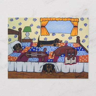 Dachshunds Bed Time Story Postcard