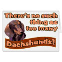 DACHSHUNDS cards