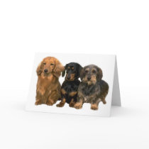 Dachshunds Card