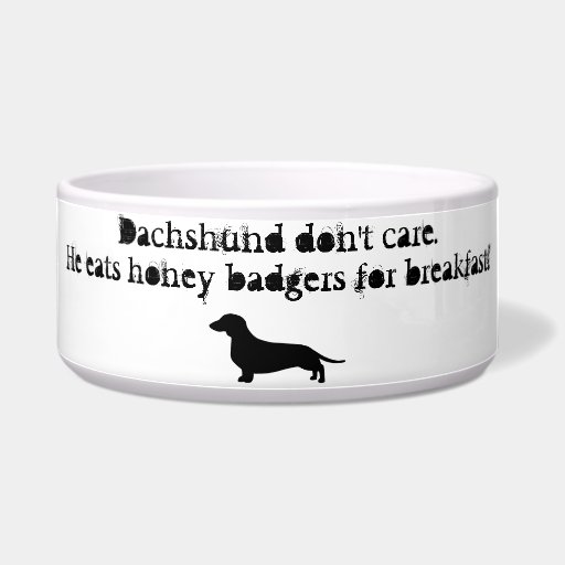 Dachshunds eat honey badgers dog water bowls