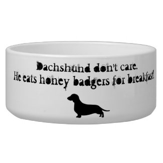 Dachshunds eat honey badgers dog water bowls