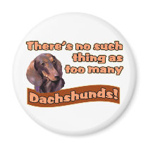 DACHSHUNDS magnets