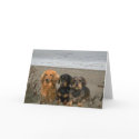 Dachshunds On The Beach Card