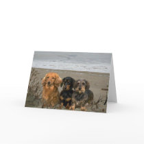 Dachshunds On The Beach Card by normagolden Dachshunds On The Beach Card