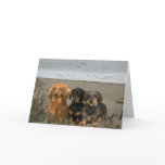 Dachshunds On The Beach Card
