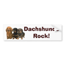 Dachshunds Rock Bumper Sticker bumper stickers by normagolden Dachshunds Rock Bumper Sticker bumper stickers