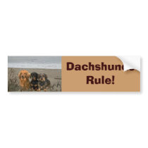 Dachshunds Rule Bumper Sticker On Beach bumper stickers by normagolden Dachshunds Rule Bumper Sticker On Beach bumper stickers