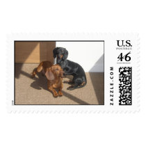 Dachshund's Thinking postage