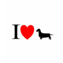 Dachsund Lover Gifts "I Love Dachsunds" t-shirts