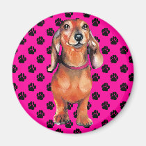 Dachsund Red Doxie magnets