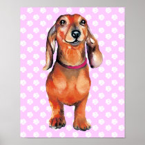 Dachsund Red Doxie posters