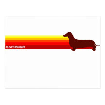 Dachsund With Stripes Postcard