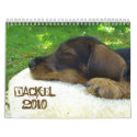 Dackelkalender 2010 - Suesse Rauhaardackelfotos calendars by Rainmountain Dackelkalender 2010 - Suesse Rauhaardackelfotos calendars
