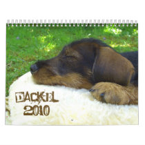 Dackelkalender 2010 - Suesse Rauhaardackelfotos calendars
