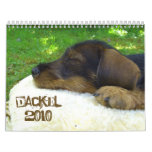 Dackelkalender 2010 - Suesse Rauhaardackelfotos calendars