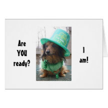 DACSHOUND SAYS HE IS READY TO PARTY ST. PAT'S DAY CARD