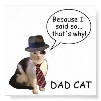 Dad Cat Said So Poster