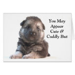 Dad, You Are Top Dog cards