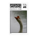 Daddy Goose 1 postage
