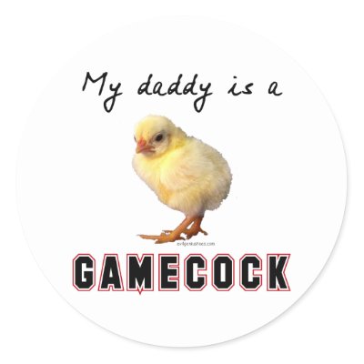 gamecocks. Daddy is a gamecock stickers
