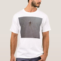 Daddy Long Legs t-shirts