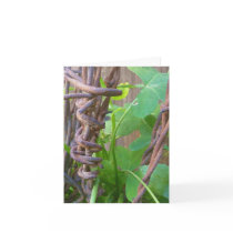 Daddy's Barbed Wire Card