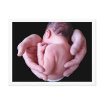 Daddy's Hands Postcard