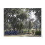 Dade's Battle Re-enactment Post Card