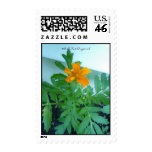 Dad's Flowers Stamp