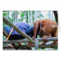 Dad's Helper - Indonesia Handyman cards by Rebecca_Reeder Dad's Helper - Indonesia Handyman cards