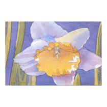 Daffodil 2003 posters by tkrysak Daffodil 2003 posters